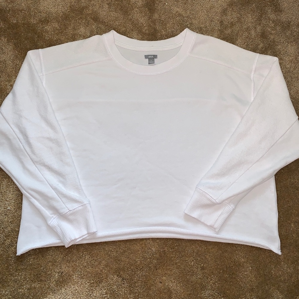 Aerie crop sweatshirt